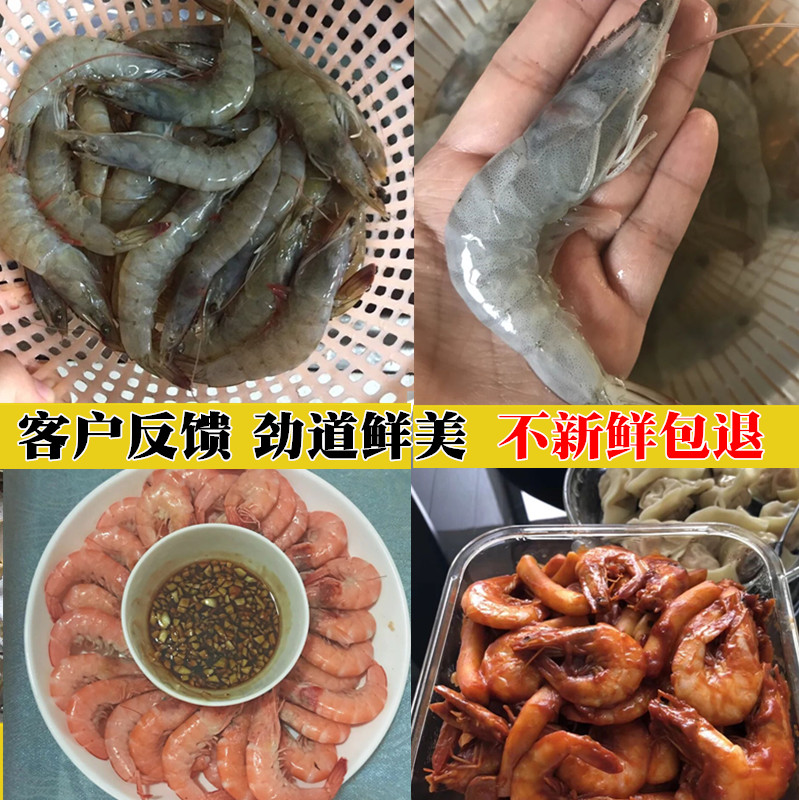 新鲜对虾鲜活基围野生海虾海捕大虾活虾青虾明虾大海虾海鲜水产品,淘宝优惠券,粉丝福利购,淘宝优惠卷