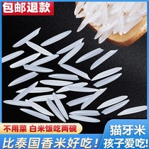2023 New rice cat tooth rice Late rice fragrant rice Super Long Grain Rice Silk Fry 10 catfish Fried Rice Rice Egg Fried Rice Porridge Rice