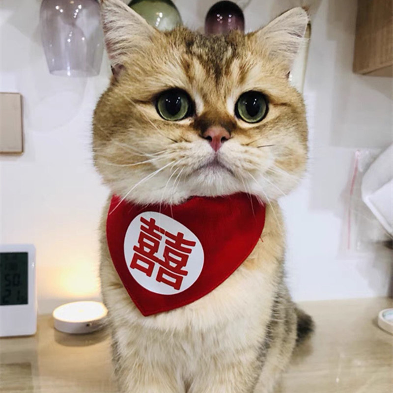 猫咪结婚喜字口水巾围嘴配饰狗狗参加婚礼红衣服喜庆三角巾可调节
