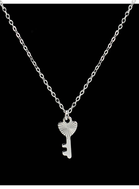 迷你小锁匙项链女款轻奢高级设计小众颈链2024新款风锁骨链配饰女