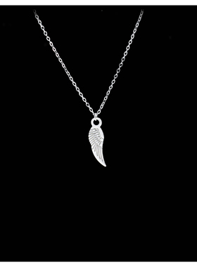 HZK 钛钢项链女款轻奢小众高级颈链2025新款爆款锁骨链配饰不掉