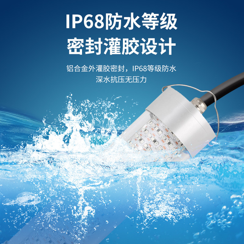12v水下发光灯LED集鱼灯强光防水夜钓海钓神器诱鱼补光灯鱿鱼灯具,淘宝优惠券,粉丝福利购,淘宝优惠卷