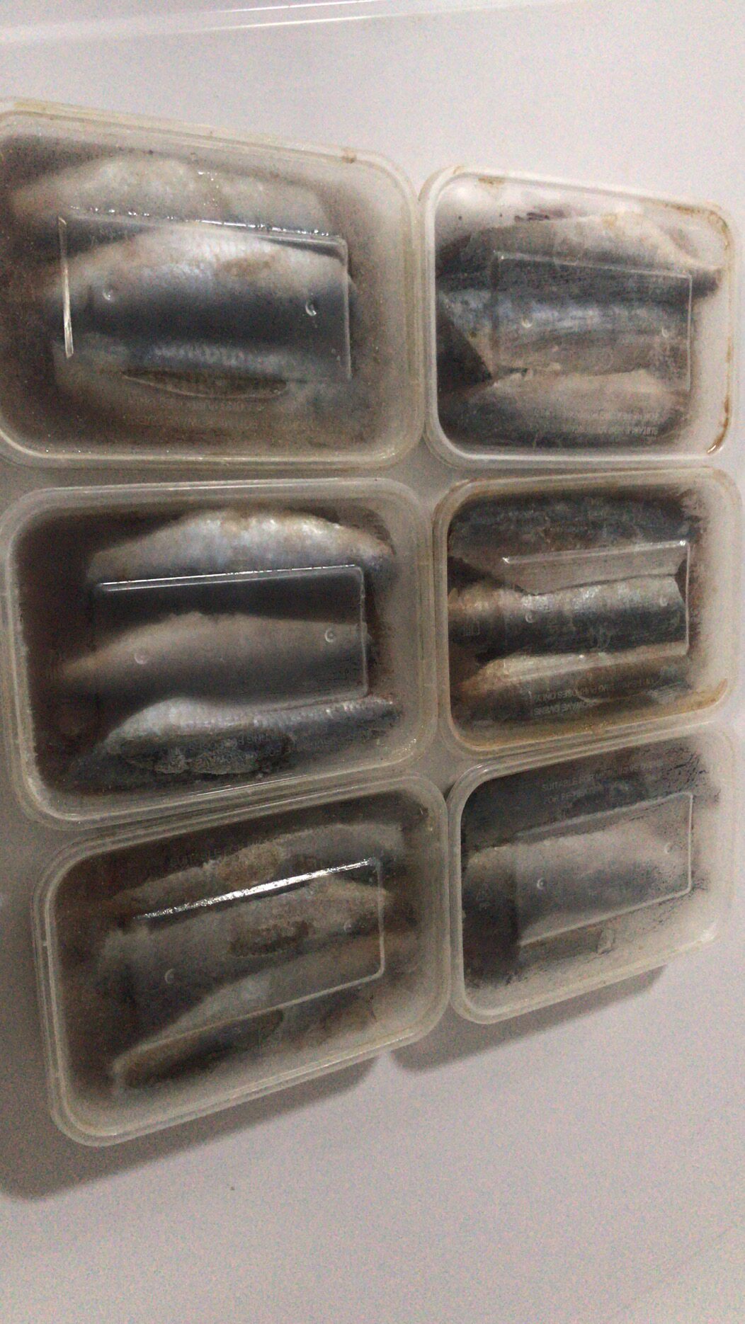 温鱼饵 姑鱼饵 鱼肥钓饵 海钓海鱼饵  秘制沙丁鱼科钓饵鲷类