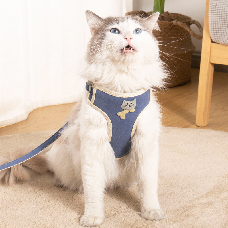 猫咪牵引绳防挣脱背心式胸背带可调节外出专用遛猫绳猫链子猫绳子-图0