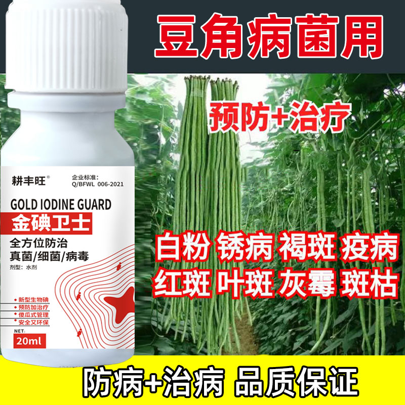 豆角锈病专用豆角杀菌剂紫斑病灰斑病豆角锈病白粉药豆角专用药 - 图2