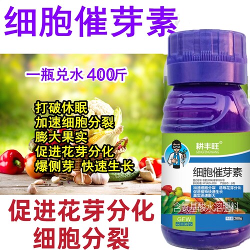 细胞分裂素叶面肥植物爆芽素促进花芽分化增产膨大促生长多肉爆芽 - 图1