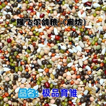 The Longfeier Dove Grain (Chicks) Spray Nest Young Pigeon Grain Racing Pigeon Pigeon Pigeon Army Dove Watch Pigeon 40 Catty Fodder