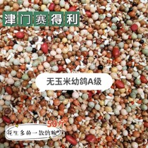 Tianjin Cedley High End (Young Pigeon A Level) No Corn Pigeon Grain Racing Pigeon Letter Pigeon Feed 50 Catty