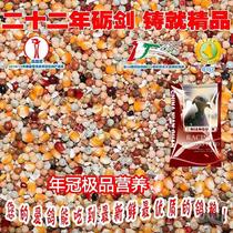 China Annual Crown Dove Grain and Pine Belt Corn Nutrition Pigeon Grain Letter Racing Pigeon Feed Bird Food 20KG Zhejiang Shanghai