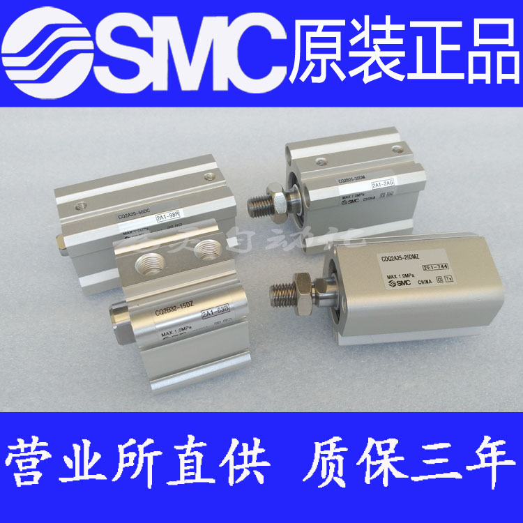 全新SMC原装正品CQ2KB32-5DZ 10DZ 15DZ 20DZ TF DCMZ不旋转气缸 - 图2