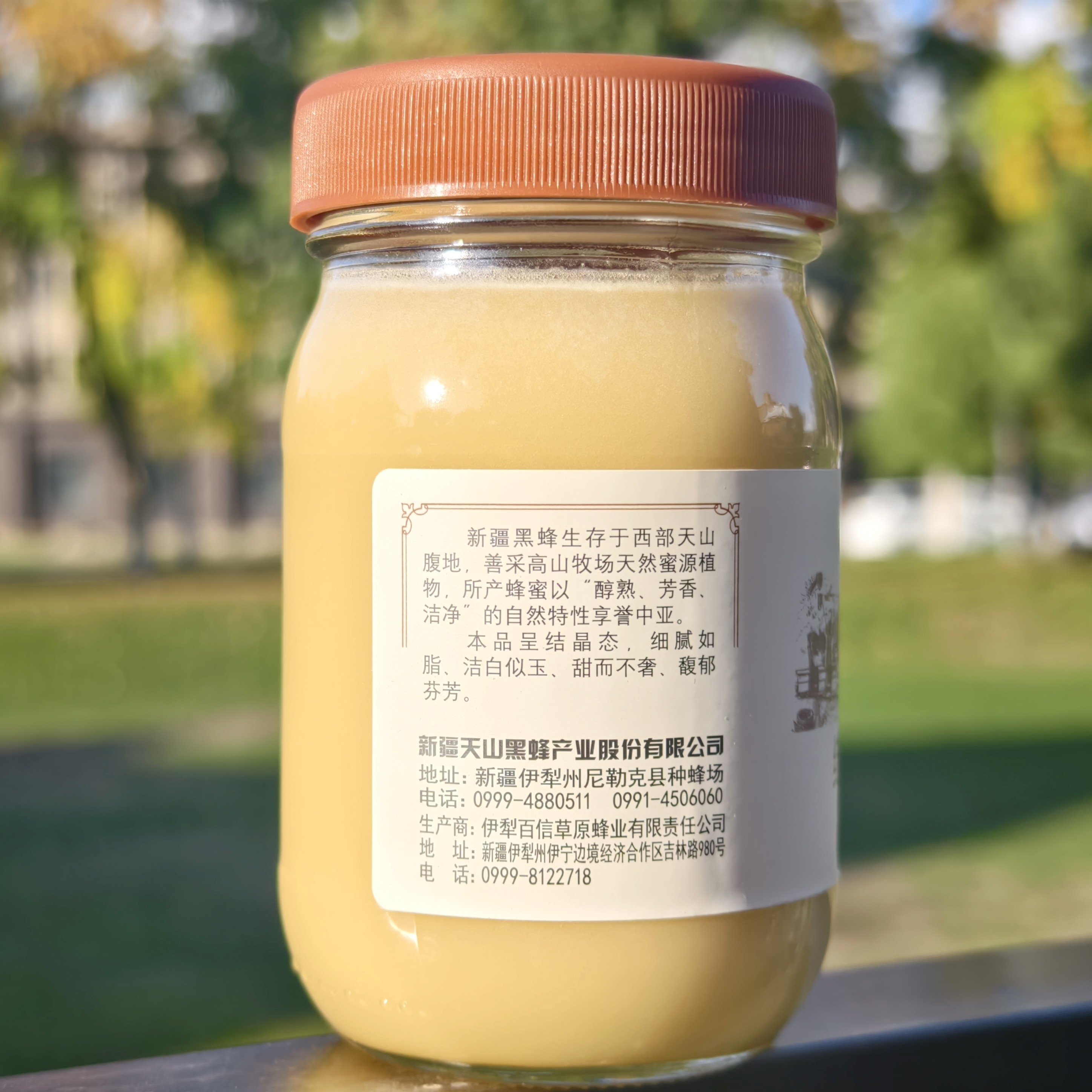 新疆天山蜂蜜结晶雪蜜伊犁黑蜂蜂蜜500g玻璃瓶