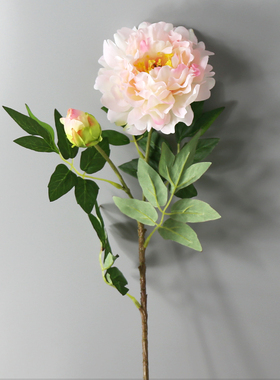 仿真绢布牡丹花客厅居家新房绢花