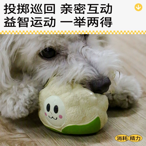 Qzee even House Latex Vocal Dog Toy