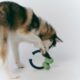 Roika imported Fengrong dog toy replacement missing ball