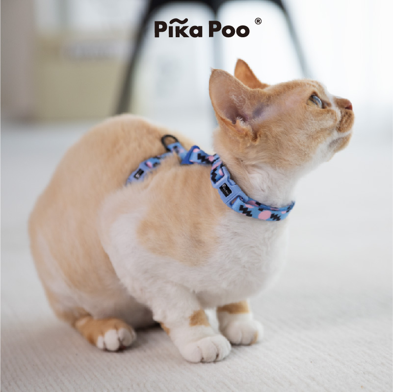 QZee Pika Poo猫咪牵引绳胸背套装安全扣溜猫项圈背心美短布偶 - 图1