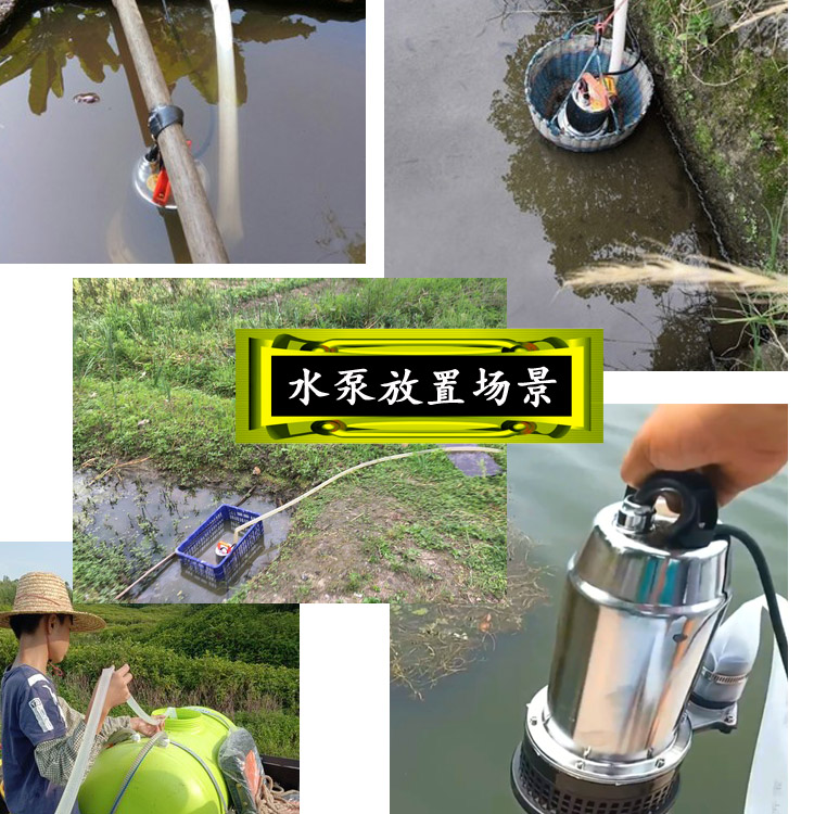 直流电瓶车电动车潜水泵12V48V60伏浇菜地抽水机深井泵农用大扬程