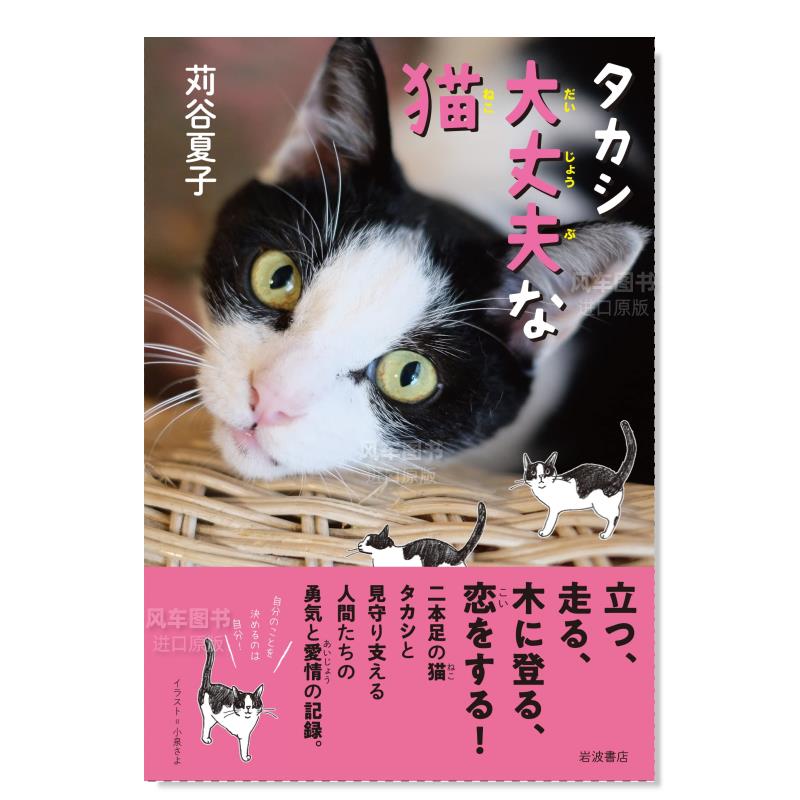 【现货】 TAKASHI 坚强猫猫日文生活方式进口原版书タカシ 大丈夫な猫苅谷 夏子 岩波书店 - 图0