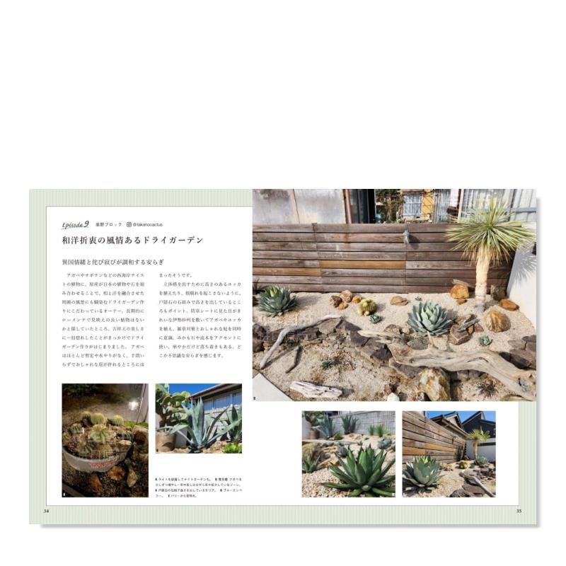 【预 售】干旱地区的奇特植物 干涸花园 乾燥地帯の珍奇植物 ドライガーデン日文园林景观 AND PLANTS 佐藤桃子 - 图0