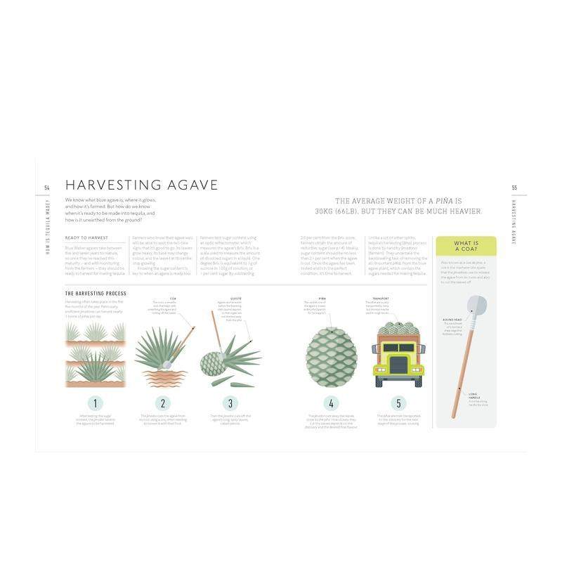 【现货】龙舌兰品鉴指南Tequila: A Tasting Course英文餐饮Millie MillikenDK精装进口原版书9780241726198,淘宝优惠券,粉丝福利购,淘宝优惠卷