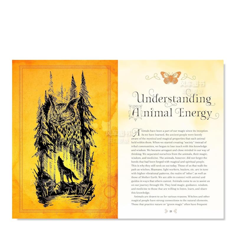 【预 售】动物魔法:神秘能量和魔法手册 第 18 卷 Animal Magic: A Handbook of Mystical Energies and Enchantment: Volume 18英 - 图0