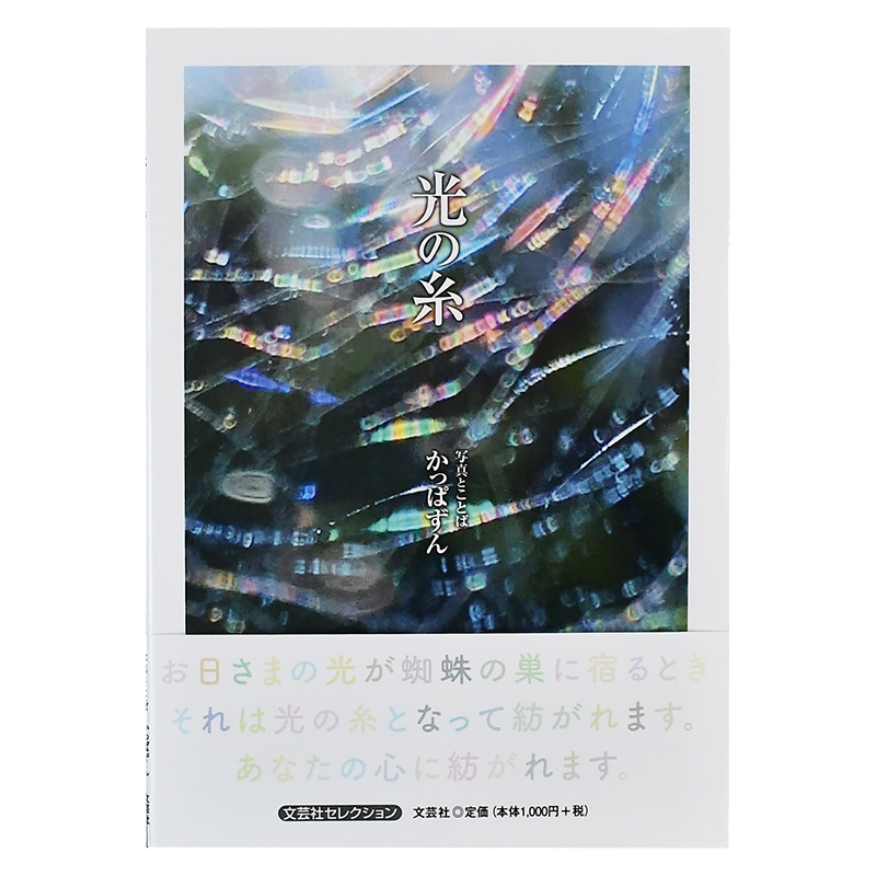 摄影集光之丝光の糸绘本作家かっぱずん的第 本写真集日本原版进口摄影艺术作品 伟宏图书专营店 淘优券