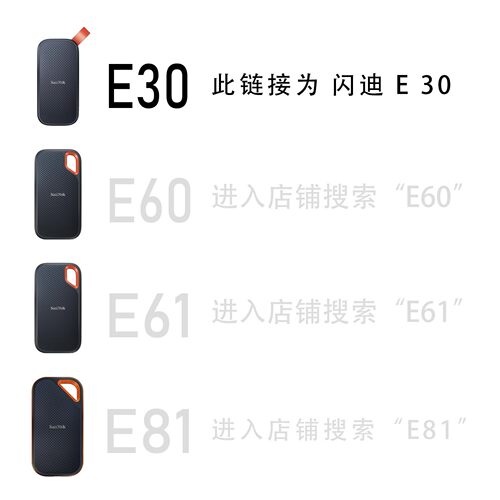 适用SanDisk闪迪E30保护套固态移动硬盘包收纳盒防震皮革 - 图0