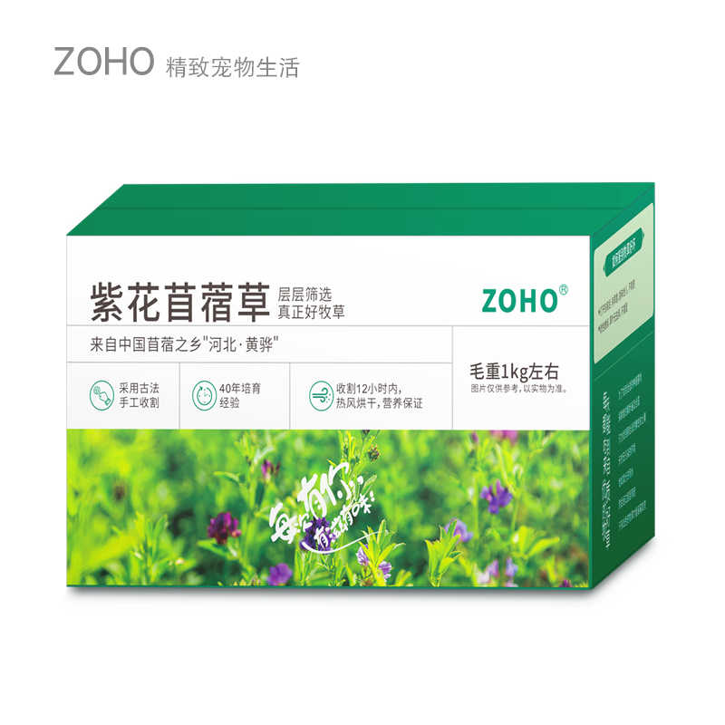 马草 新人首单立减十元 21年11月 淘宝海外