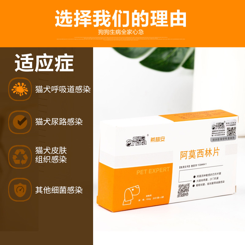 爱纳它希林安阿莫西林片宠物猫狗感冒咳嗽肺炎气管炎猫鼻支消炎药