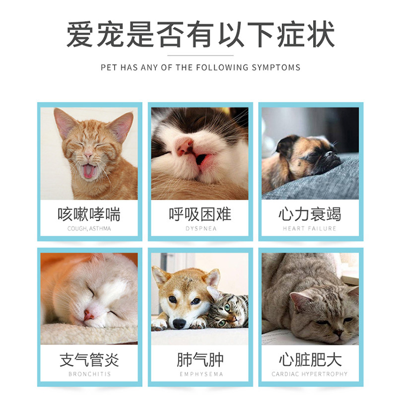 宠物肺心康合宠欣宠心50mg100犬猫狗狗心脏病药呼吸困难平喘止咳