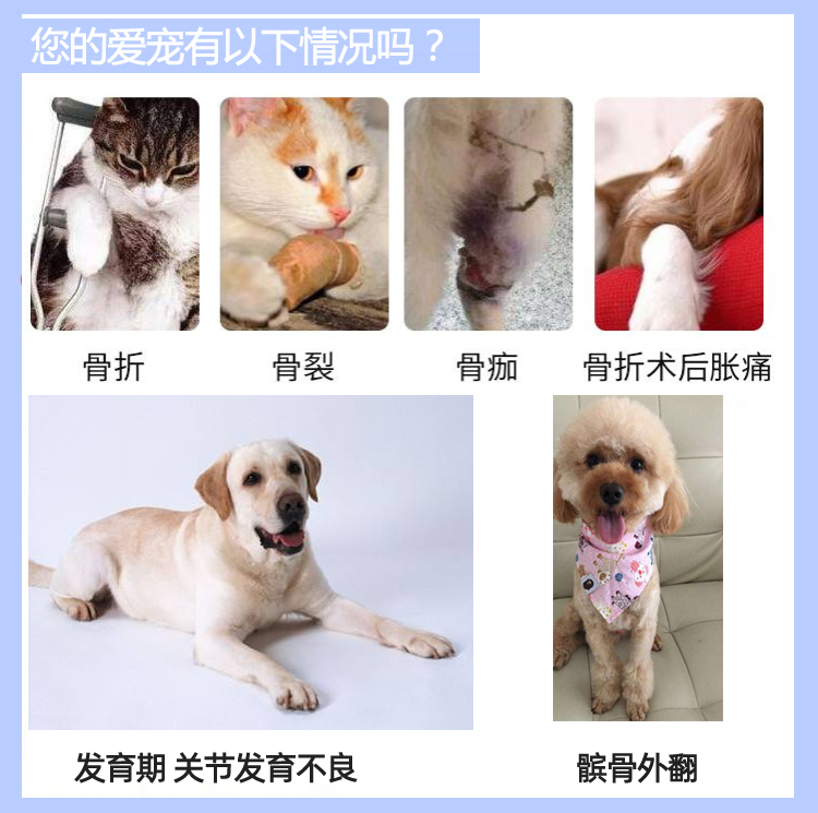 益固丹续筋接骨丹益宠堂益骨丹宠物猫狗骨折止疼肿胀跛行关节活血-图2