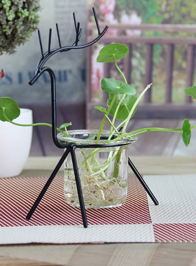 创意绿萝玻璃透明桌面插花水培瓶