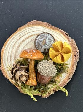 云南真蘑菇冰箱贴苍山果实真植物森系冰箱贴伴手礼装饰品装饰摆件