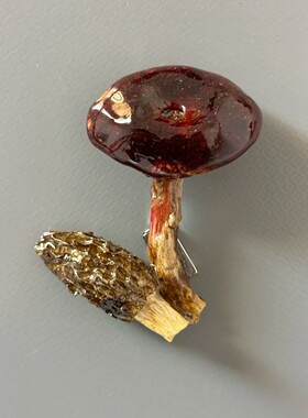 云南蘑菇菌真植物diy森系冰箱帖标本伴手礼家居墙面装饰品