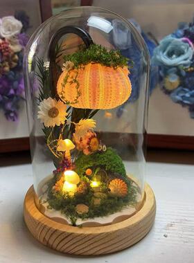 %微景观手工发光摆件海胆贝壳蘑菇送闺蜜女友生日伴手礼装饰摆件