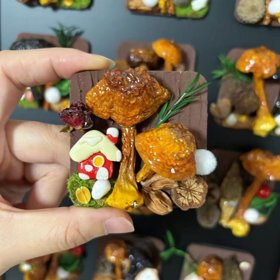 云南蘑菇菌真植物diy森系冰箱帖标本伴手礼家居墙面装饰品,淘宝优惠券,粉丝福利购,淘宝优惠卷