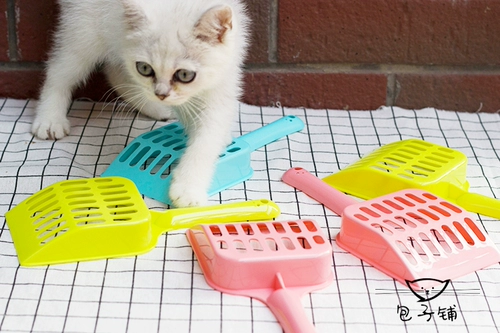 Кошачья песчаная лопата кошка лопата кошачья лопата кошачья кошачья очистка питометра