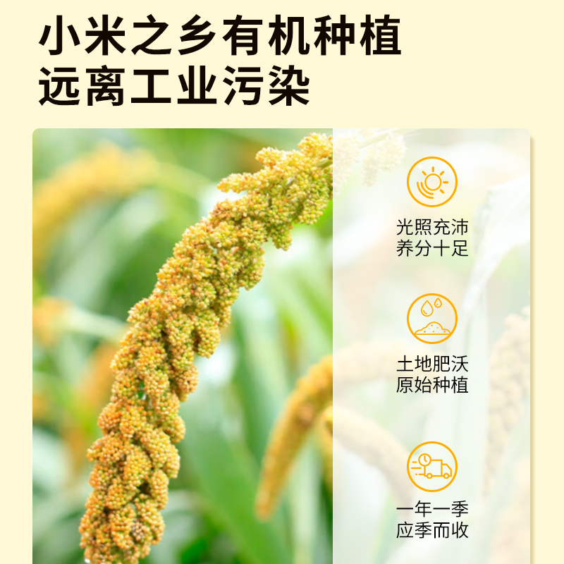 梦思香有机黄小米新米可溯源五谷杂粮早餐粥小米粥孕妇2.3KG1罐