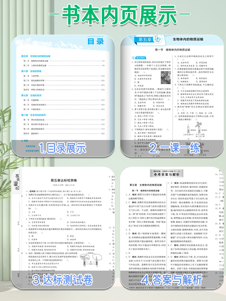 八年级北京版一课三练课时训练语文数学英语地理政治生物上册下册初二1课3练课时训练同步练习单元期中末测试卷-图3