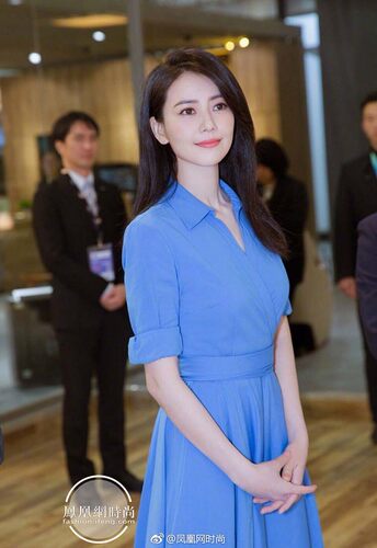 高圆圆新款长袖同款243牛皮长裙裁剪纸样复古雪纺连衣裙样板图纸 - 图1