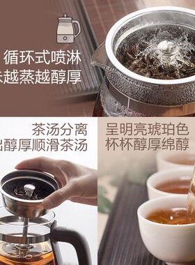 小熊煮茶器家用全自动蒸茶器黑茶