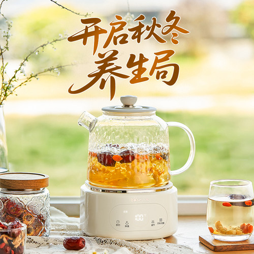 小熊全玻璃恒温养生壶家用多功能办公室小型煮茶壶烧水壶炖煮一体 - 图0
