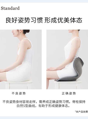 MTG花瓣坐垫办公室护腰