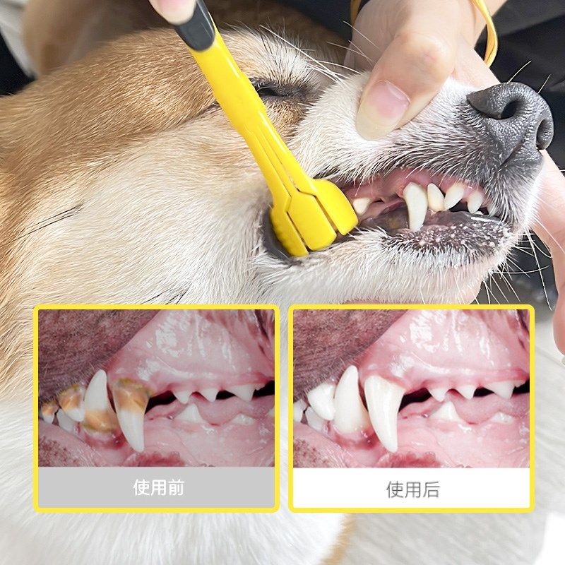 宠物狗狗牙刷牙膏套装可食用小型犬除口臭牙结石刷牙口腔牙齿清洁,淘宝优惠券,粉丝福利购,淘宝优惠卷