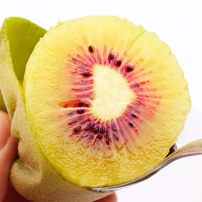 陕西眉县红阳10斤红肉现摘猕猴桃 岐秦食品奇异果/猕猴桃