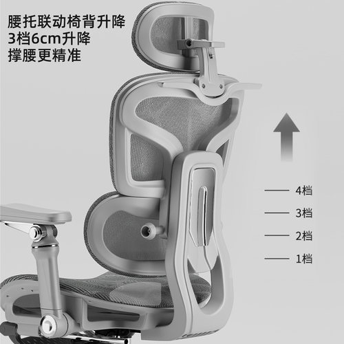 【国补立减15%】人体工学椅护腰电脑椅家用舒适久坐办公椅电竞椅 - 图1