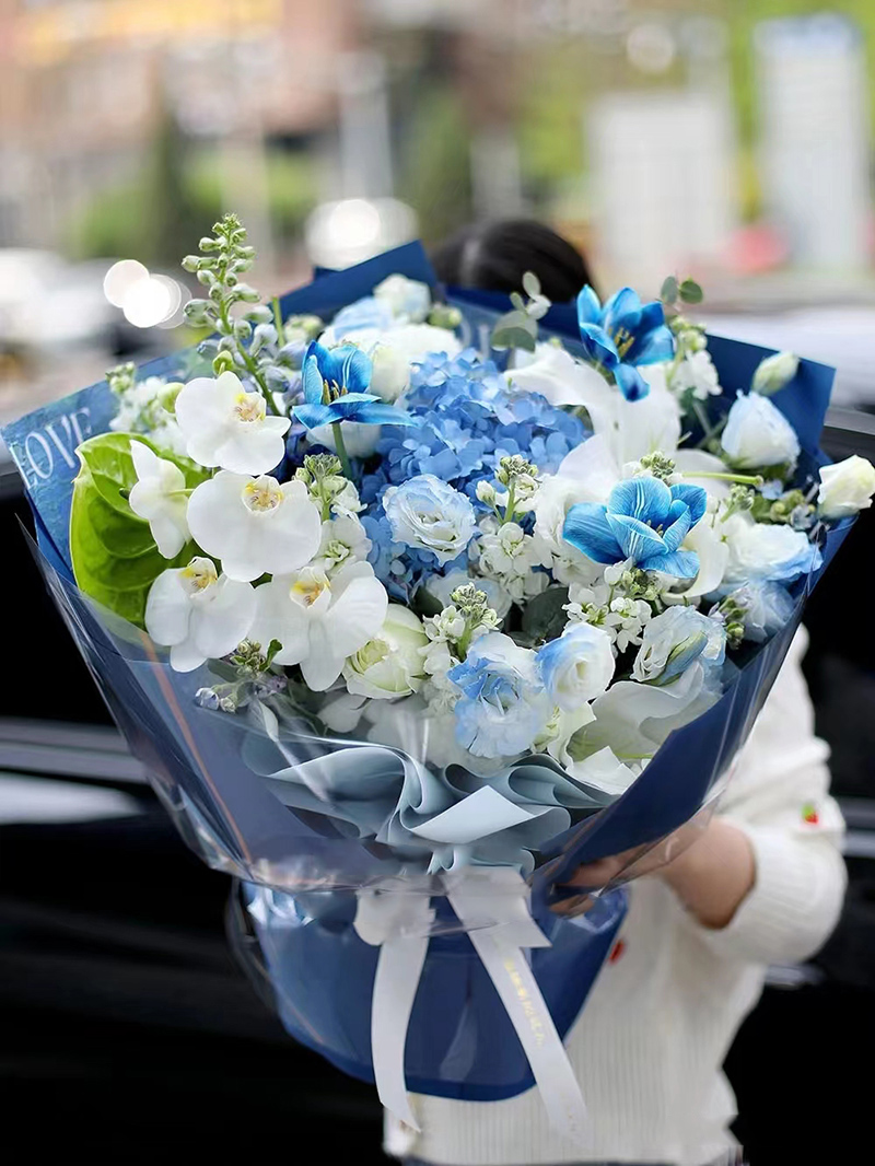 情人节节北京鲜花同城速递郁金香蝴蝶兰生日花上海杭州广州深圳