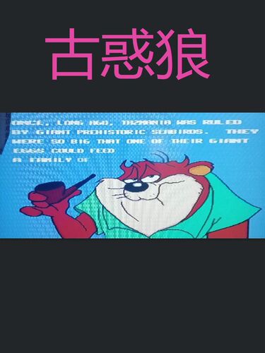 16位游戏卡黑卡世嘉卡古惑狼 - 图0