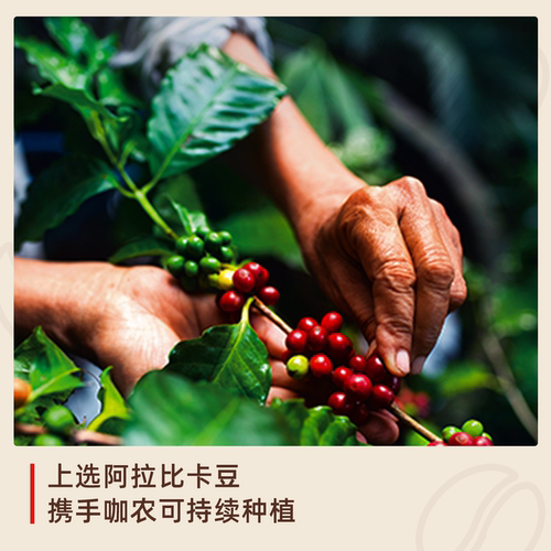illy意利咖啡 100%阿拉比卡咖啡豆大师拼配250g 原装进口氮气锁鲜 - 图1
