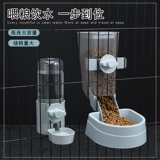 Кошка висит автоматический питьевая вода, кошка питьевая вода, собака и собака, питающая вода, питьевая вода, чайник