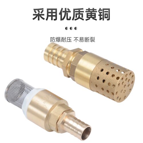 铜宝塔嘴井底阀带虑网止回阀自吸泵进水过滤防倒流弹簧止逆阀插管 - 图3